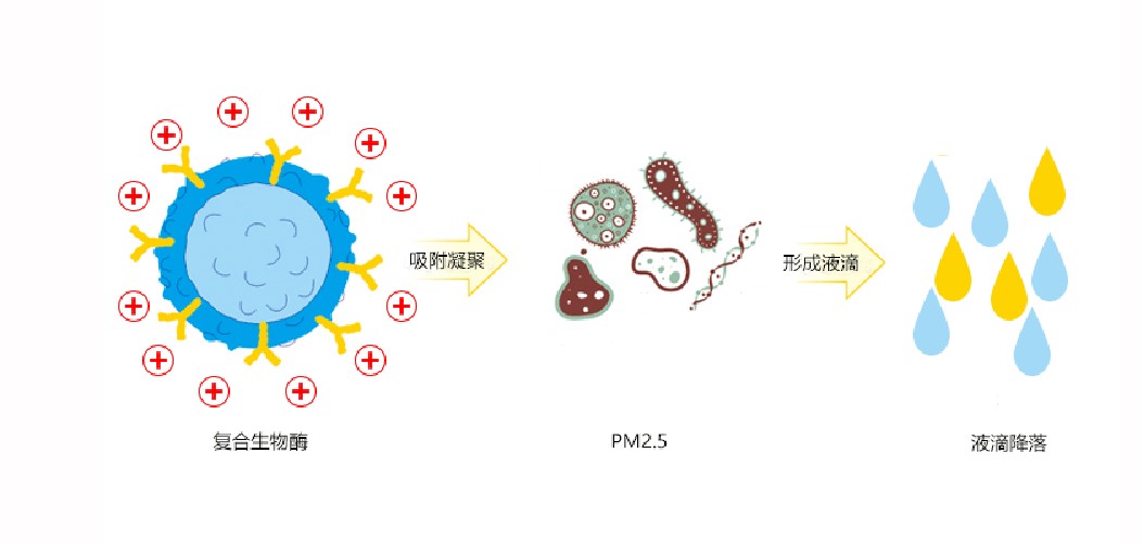 福賽生物科技PM2.5治理劑