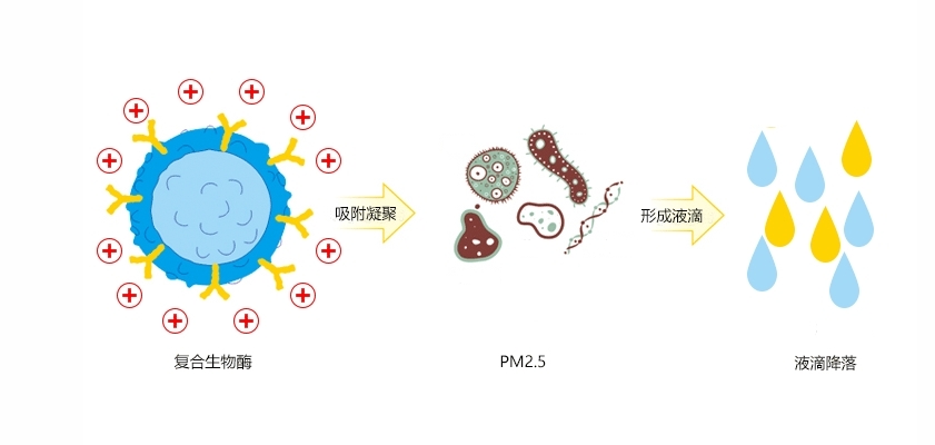 生物酶臭氧/PM2.5凈化劑助力大氣污染防治，讓冬奧藍(lán)成為常態(tài)